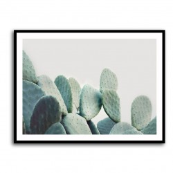 Pastel Cactus