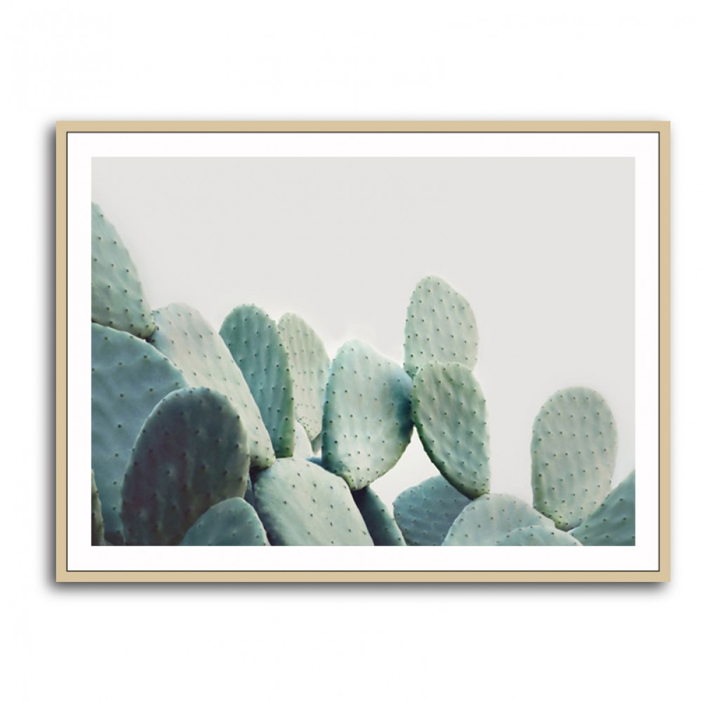 Pastel Cactus