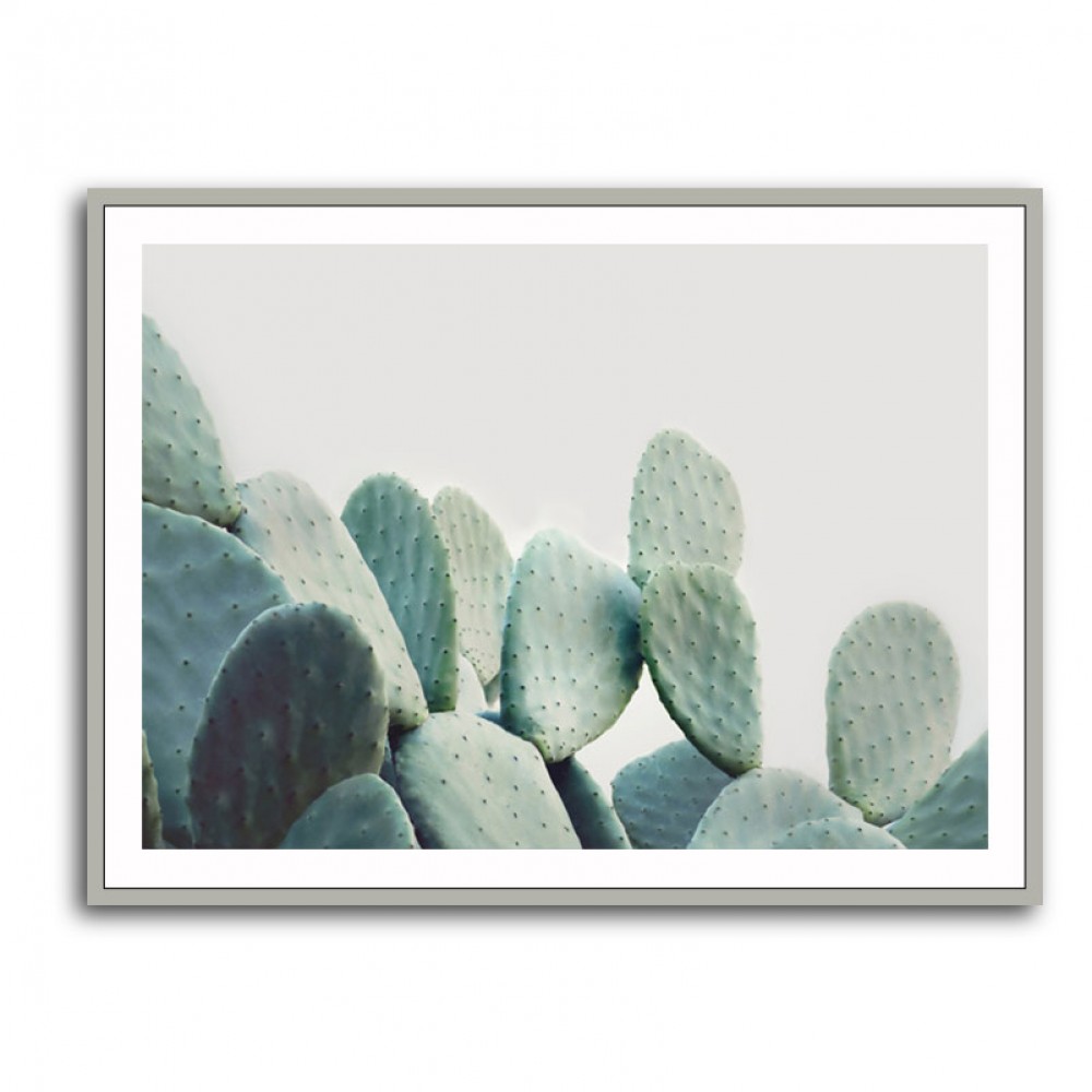 Pastel Cactus Pastel Cactus