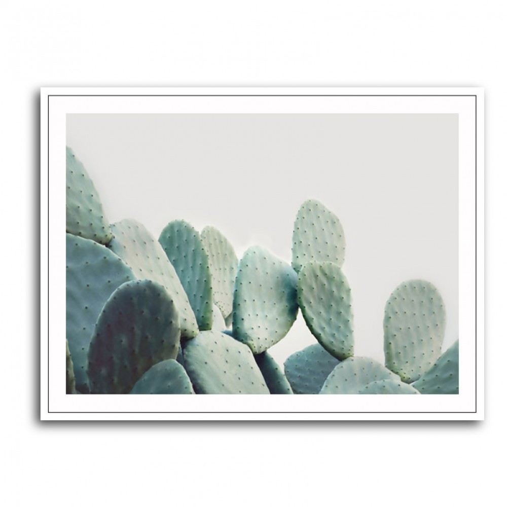 Pastel Cactus Pastel Cactus
