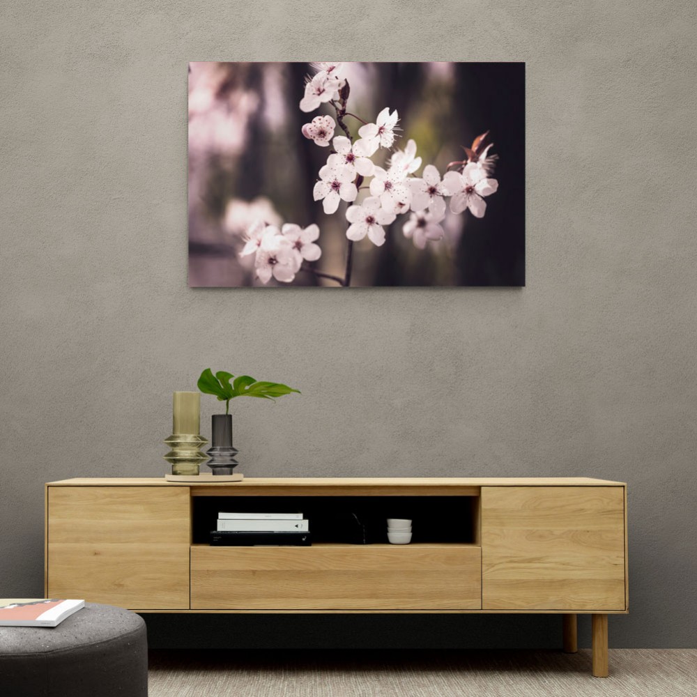 Blossoms Blossoms