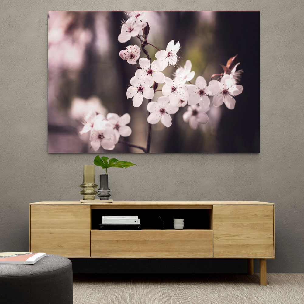 Blossoms Blossoms