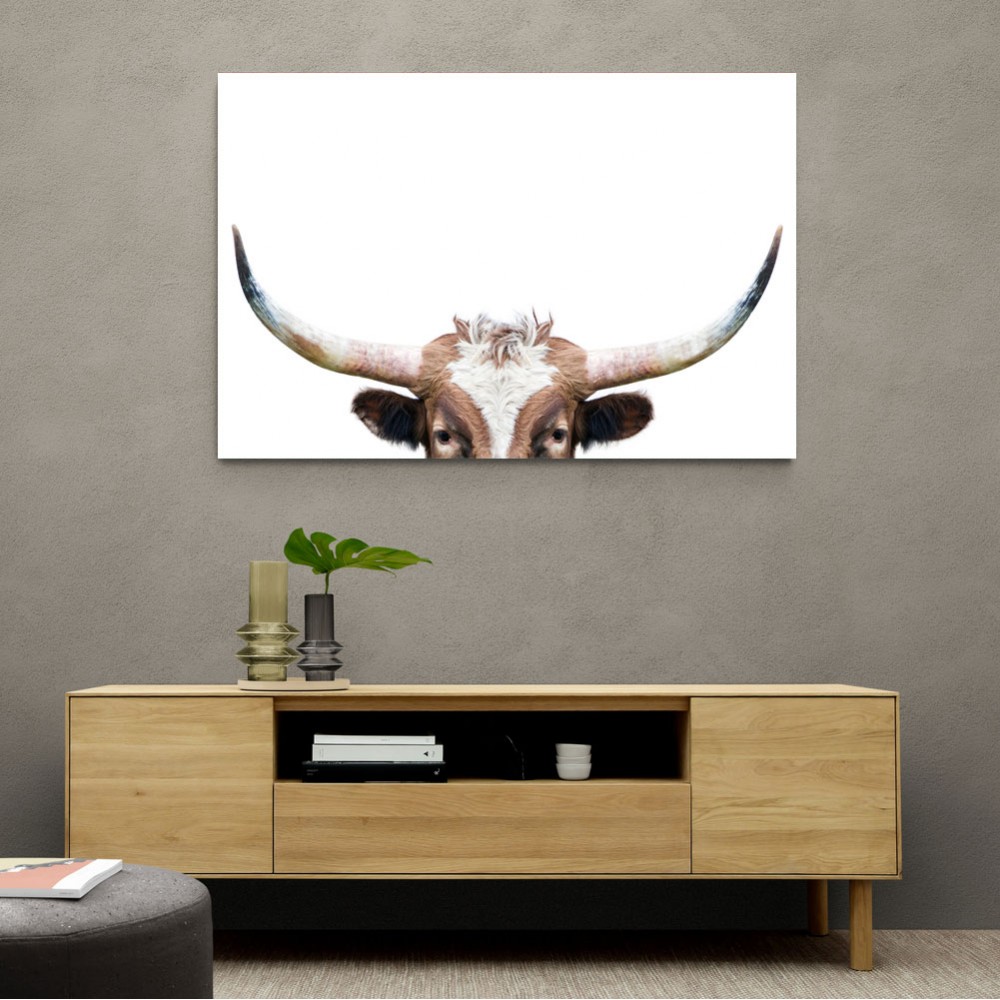 Peeking Longhorn Cow