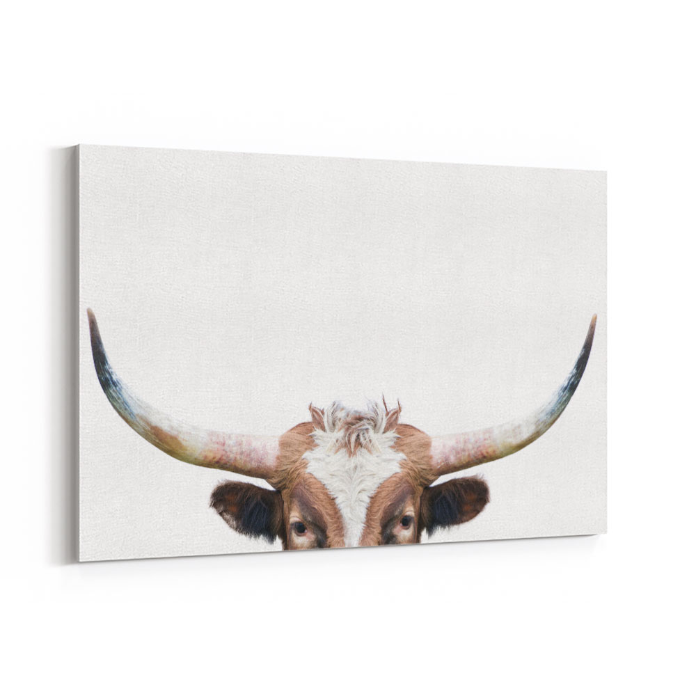 Peeking Longhorn Cow