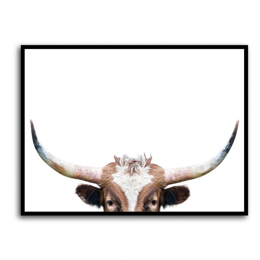 Peeking Longhorn Cow