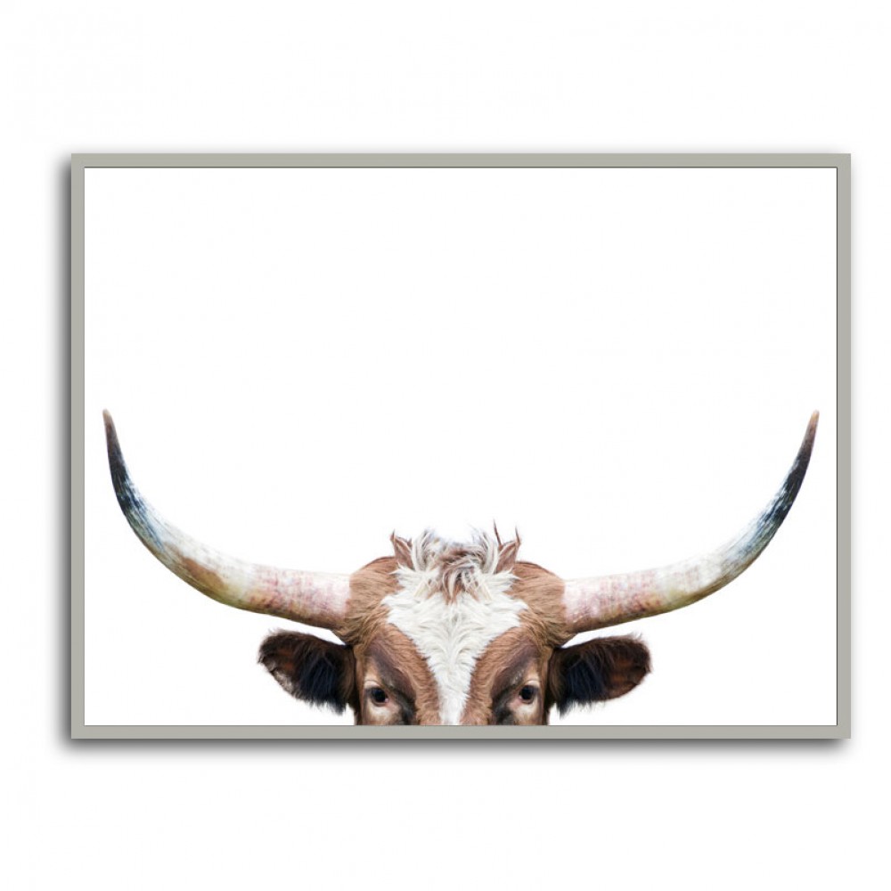 Peeking Longhorn Cow