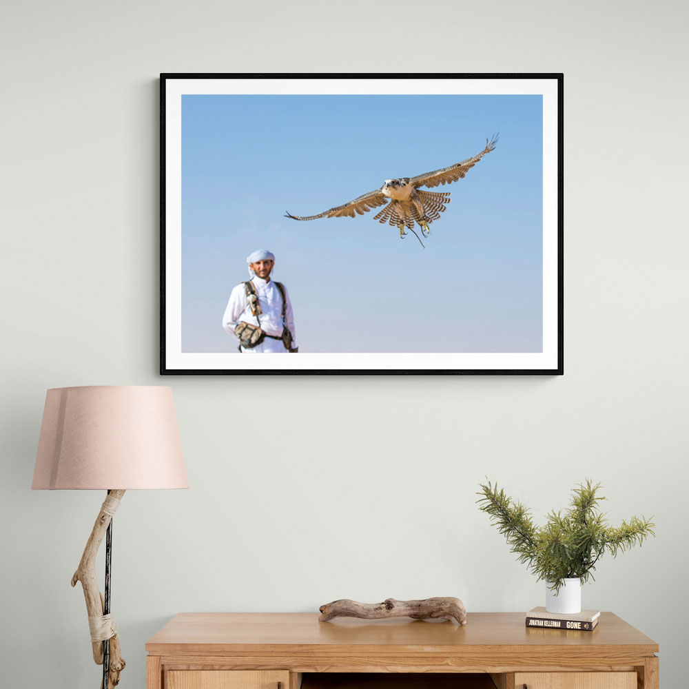 Falconer Falconer