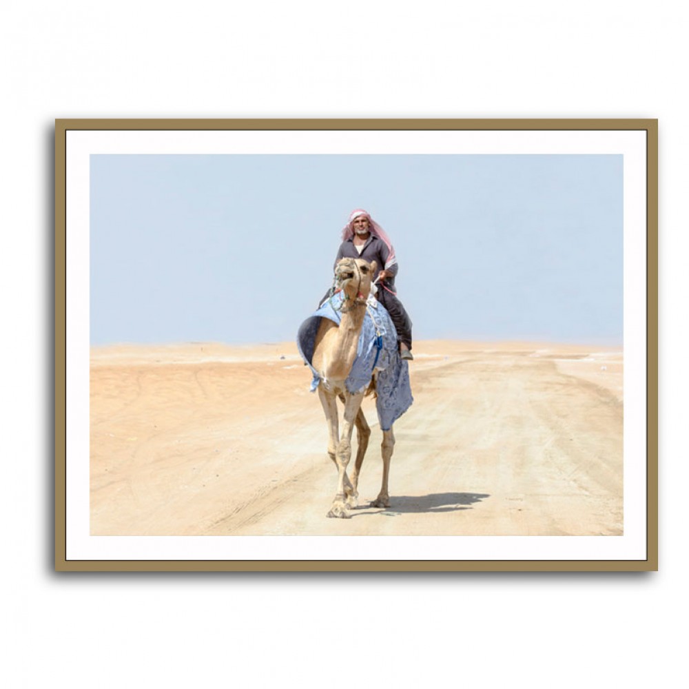 Camel Rider