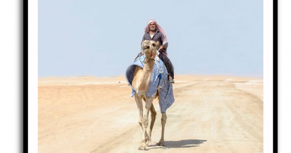 Camel Rider Side View Camel Rider Wall Art