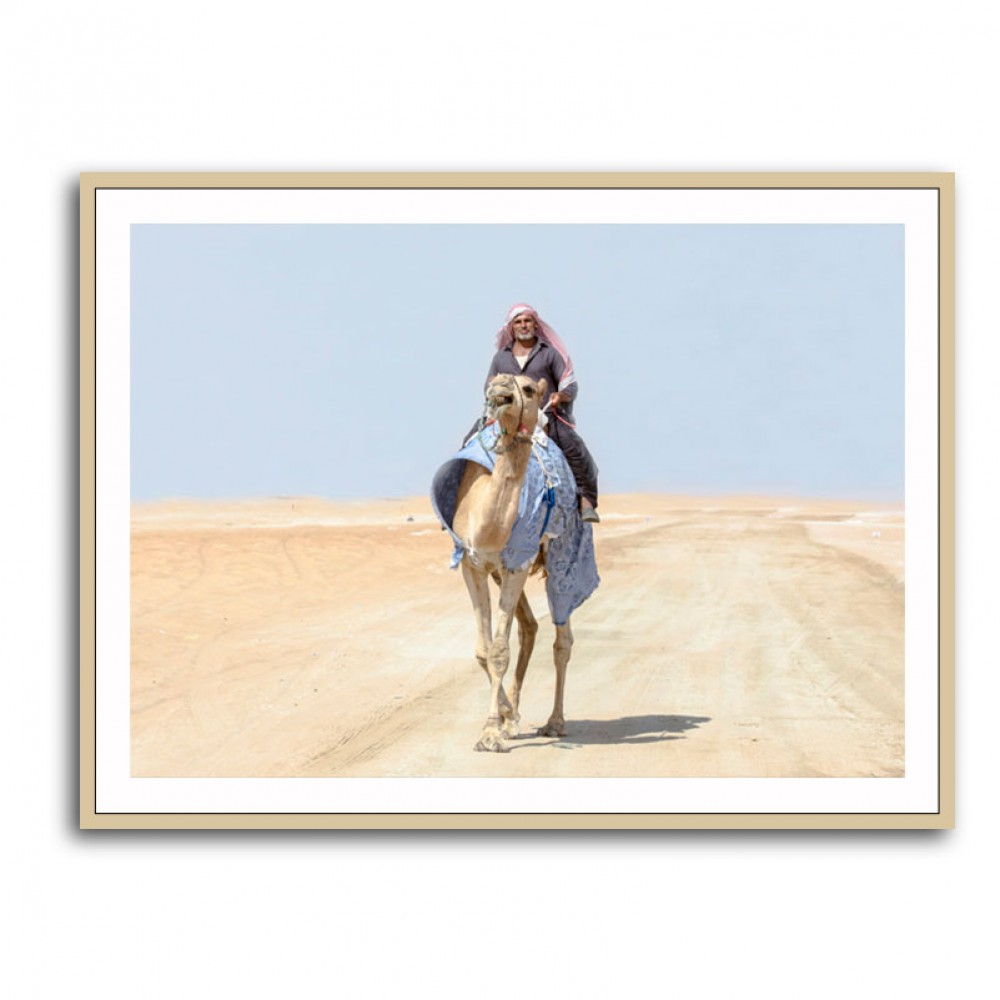 Camel Rider