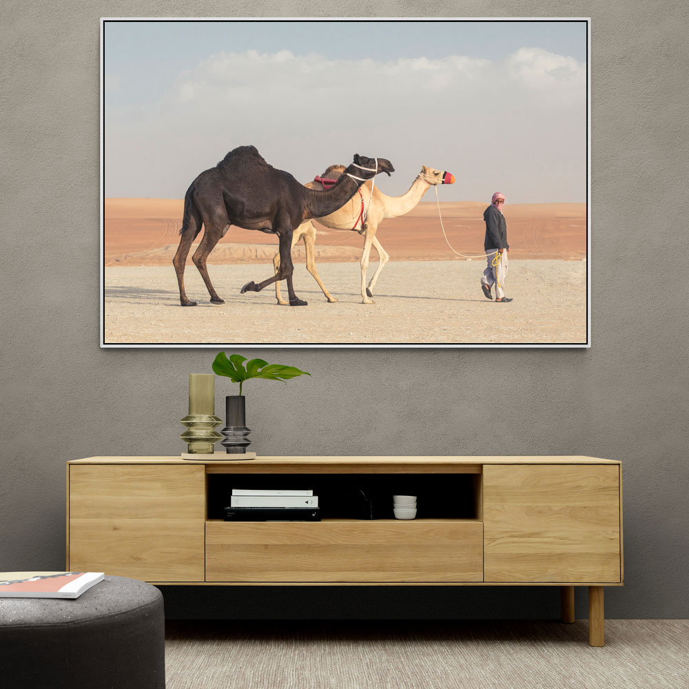 Black & White Camels