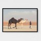 Black & White Camels