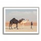 Black & White Camels