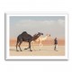 Black & White Camels