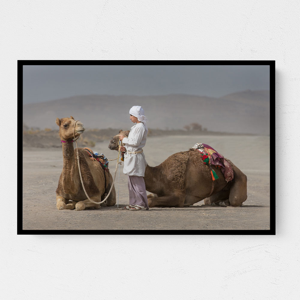 Bedouin Boy