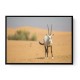 Arabian Oryx