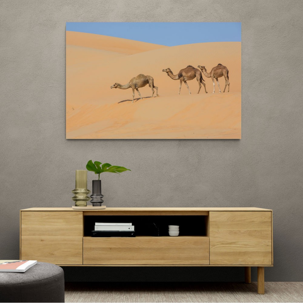 Three Camels