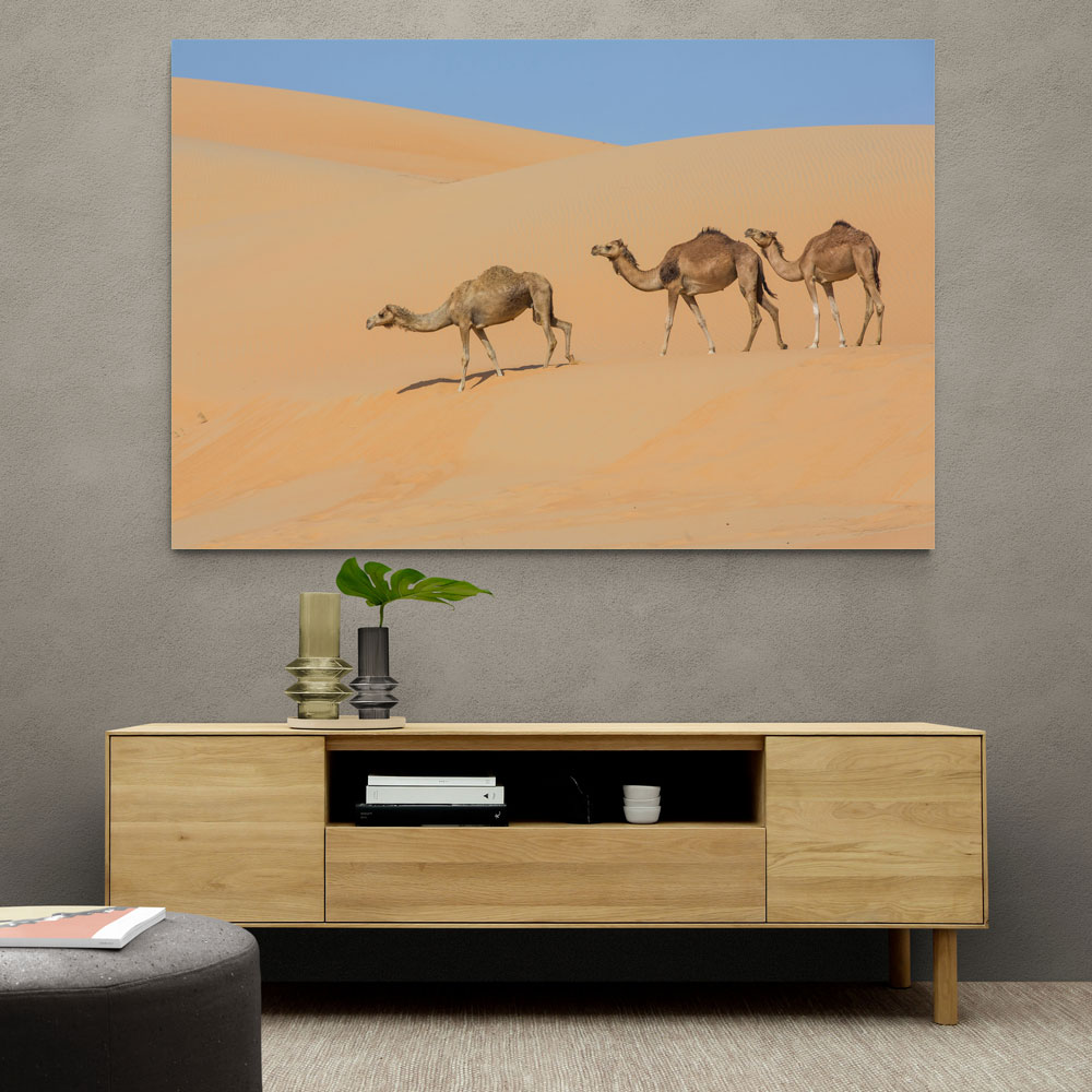 Three Camels