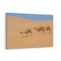 Three Camels