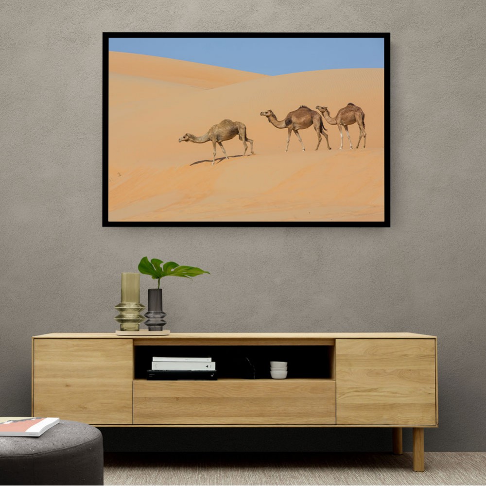 Three Camels