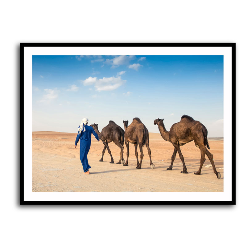 Framed Print 