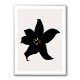 Dark Orchid Dark Orchid