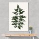Oak Leaf Print (green) Oak Leaf Print (green)