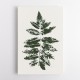 Oak Leaf Print (green) Oak Leaf Print (green)