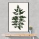 Oak Leaf Print (green) Oak Leaf Print (green)