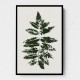 Oak Leaf Print (green) Oak Leaf Print (green)