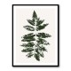 Oak Leaf Print (green) Oak Leaf Print (green)