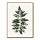 Oak Leaf Print (green) Oak Leaf Print (green)