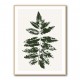 Oak Leaf Print (green) Oak Leaf Print (green)