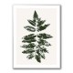 Oak Leaf Print (green) Oak Leaf Print (green)