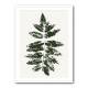 Oak Leaf Print (green) Oak Leaf Print (green)