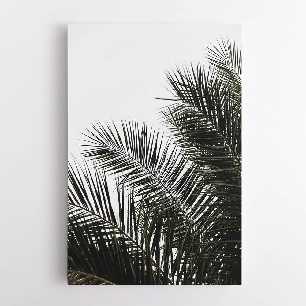 Palm Leaves 3 Wall Art Palm Leaves 3 Wall Art