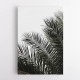 Palm Leaves 3 Wall Art Palm Leaves 3 Wall Art