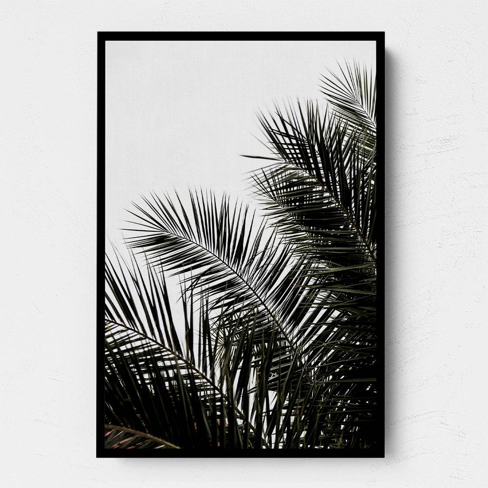 Palm Leaves 3 Wall Art Palm Leaves 3 Wall Art