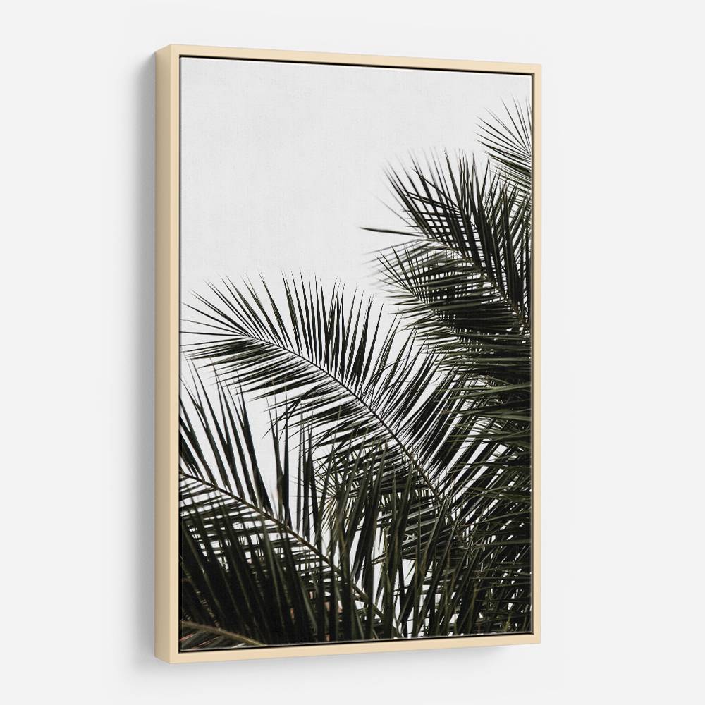 Palm Leaves 3 Wall Art Palm Leaves 3 Wall Art