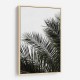 Palm Leaves 3 Wall Art Palm Leaves 3 Wall Art