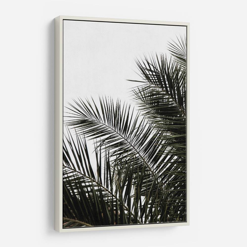 Palm Leaves 3 Wall Art Palm Leaves 3 Wall Art