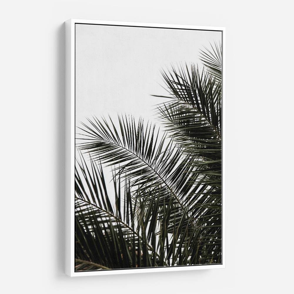 Palm Leaves 3 Wall Art Palm Leaves 3 Wall Art