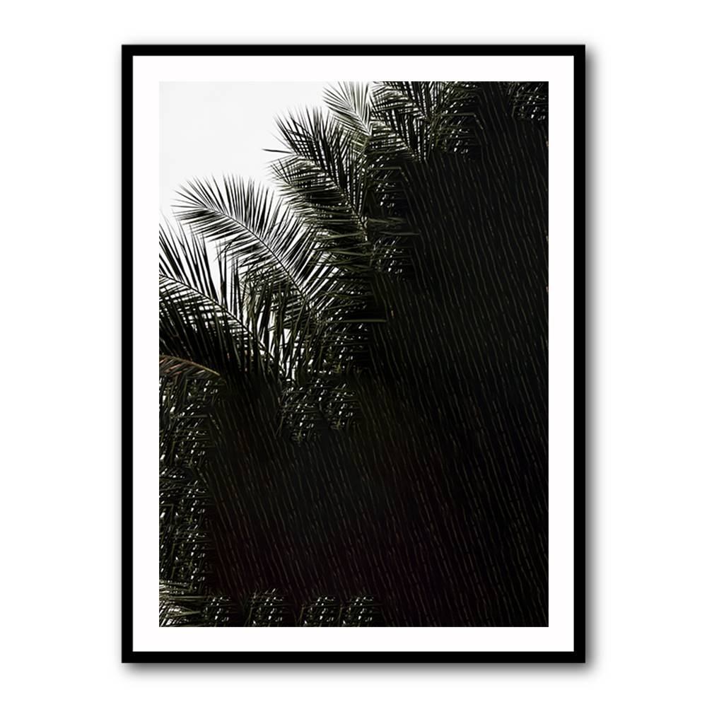 Palm Leaves 3 Wall Art Palm Leaves 3 Wall Art