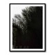 Palm Leaves 3 Wall Art Palm Leaves 3 Wall Art