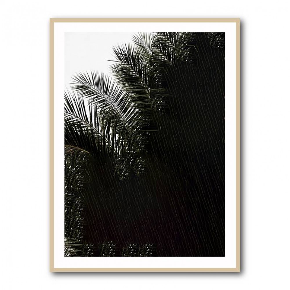 Palm Leaves 3 Wall Art Palm Leaves 3 Wall Art