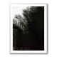 Palm Leaves 3 Wall Art Palm Leaves 3 Wall Art