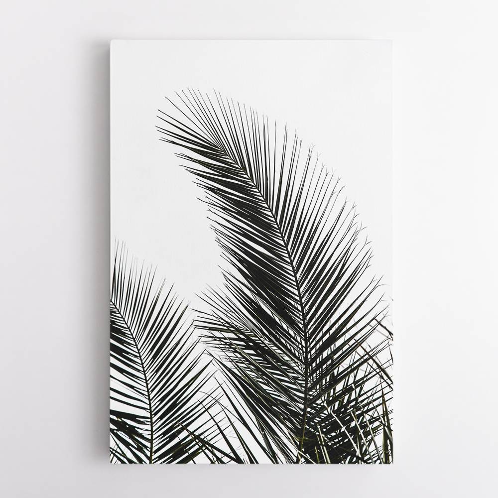 Palm Leaves 1 Wall Art Palm Leaves 1 Wall Art