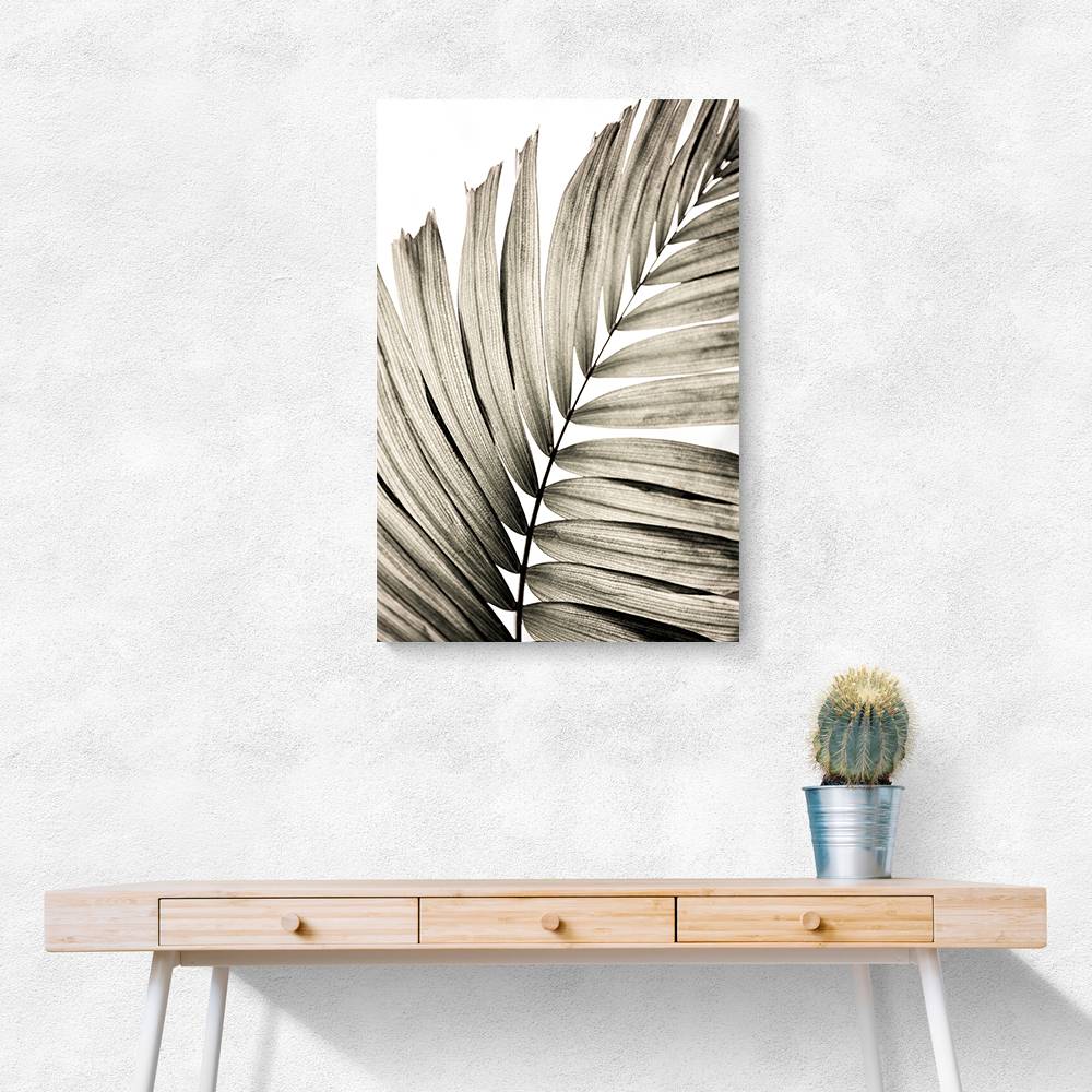 Palm Leaves 22 Wall Art Palm Leaves 22 Wall Art