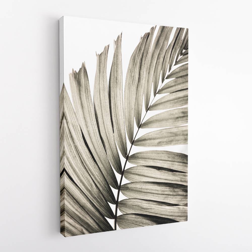 Palm Leaves 22 Wall Art Palm Leaves 22 Wall Art