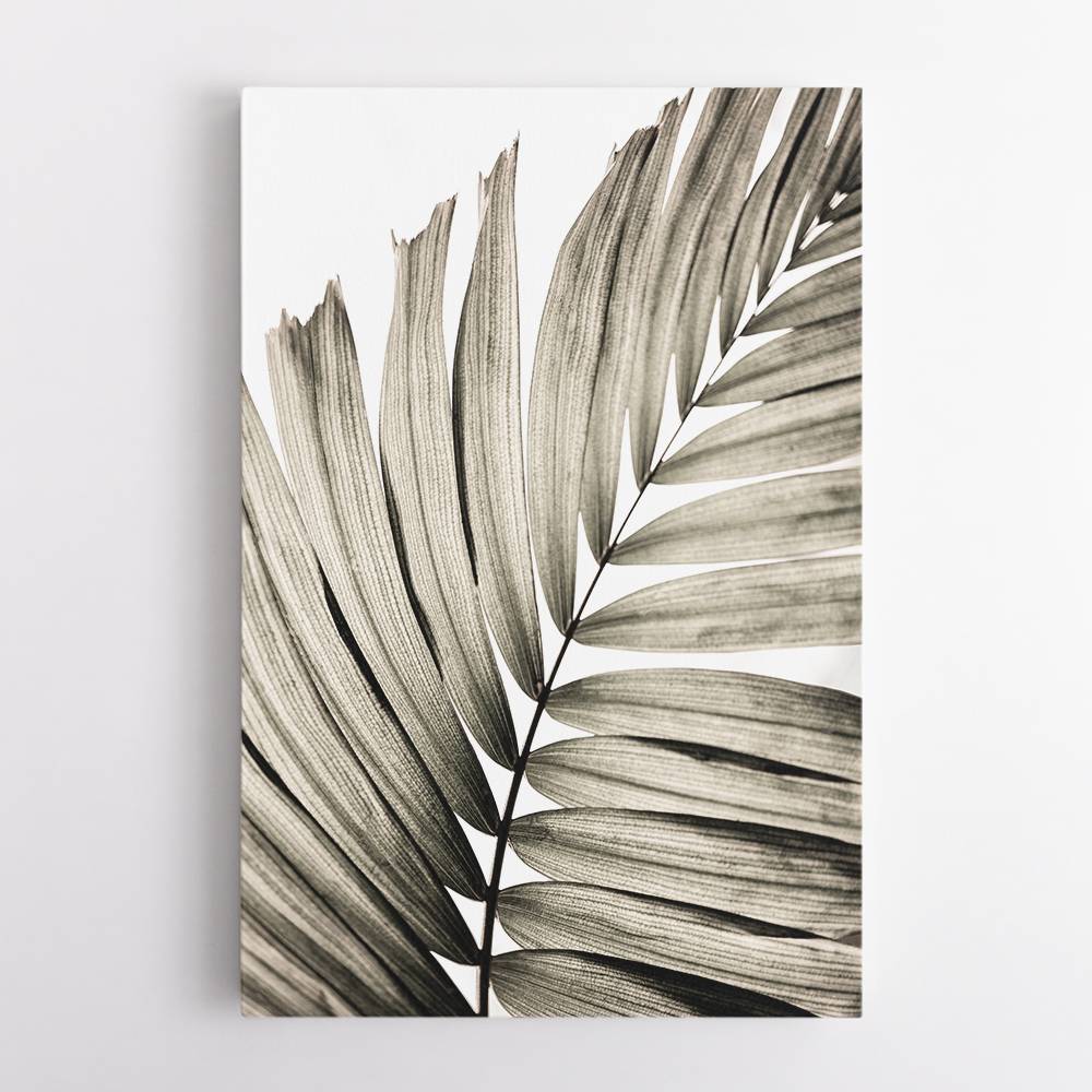 Palm Leaves 22 Wall Art Palm Leaves 22 Wall Art